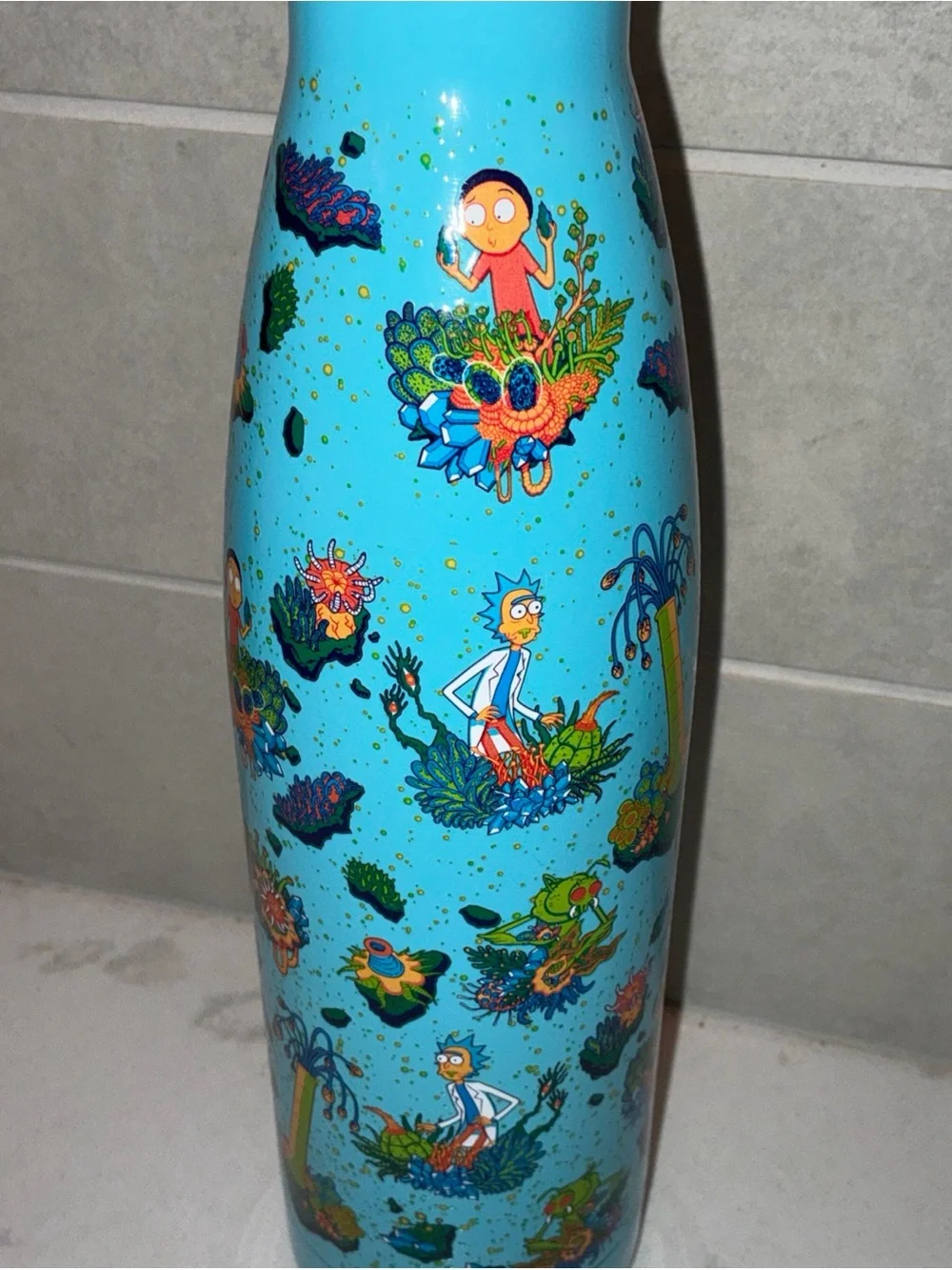 Rick and Morty thermal water bottle 500ml stainless steel hot cold